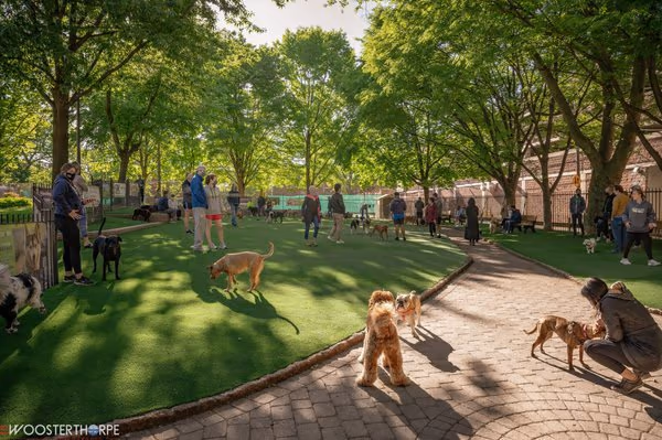 Seger Dog Park
